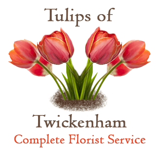 Tulips of Twickenham logo